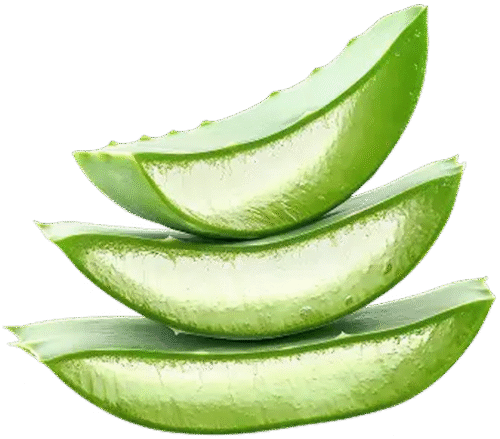 Aloes