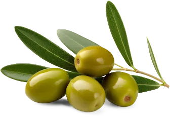 oliwki
