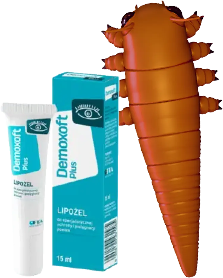 lipozel